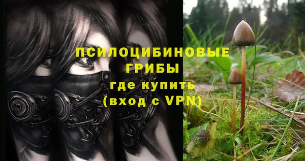 бутират Алзамай