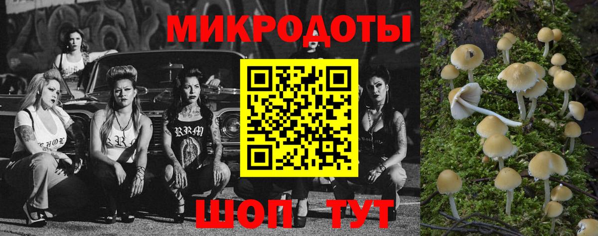 Галлюциногенные грибы Psilocybine cubensis Миасс