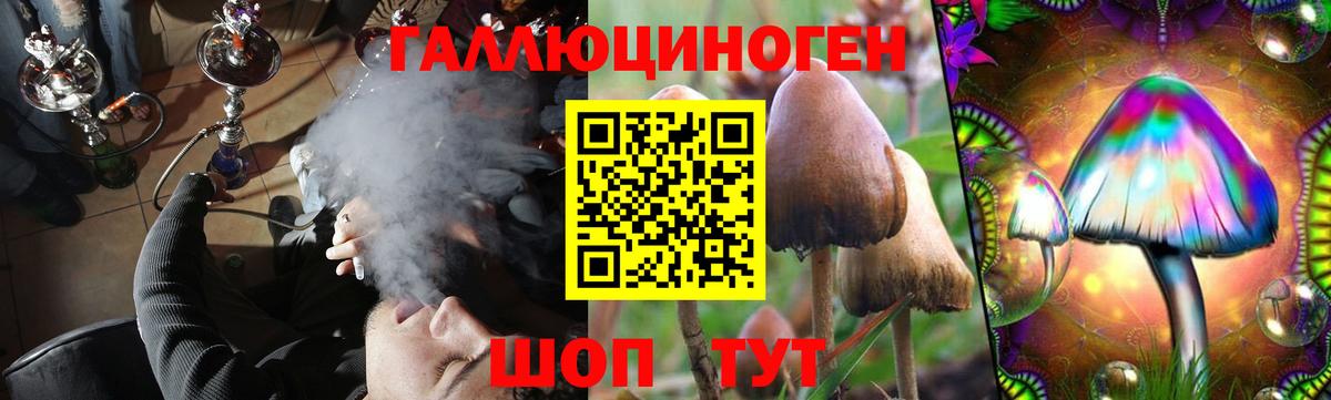 Псилоцибиновые грибы Magic Shrooms  Вход с VPN  Миасс 